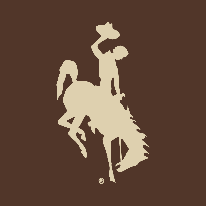 Wyoming Cowboys 2006-2012 Alternate Logo v2 DIY iron on transfer (heat transfer)